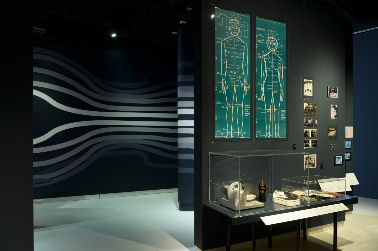 Streamlining Design Movement Characteristics Eugenics as Social Streamlining - Design Museum Den Bosch