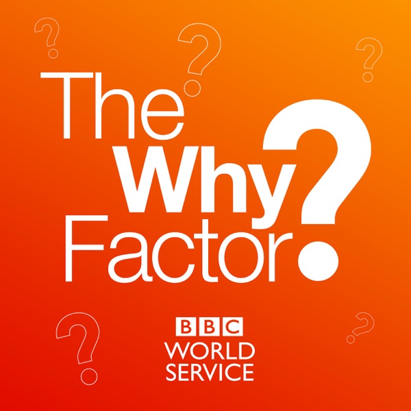 The Why Factor Logo podcast