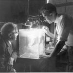 Dr. Willis R. Whitney and Dr. Vincent J. Schaefer make an artificial cloud in a plastic box. Courtesy of Schenectady Museum; Hall of Electrical History Foundation.